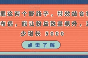 掌握这两个野路子，特效结合神奇布偶，能让粉丝数量飙升，至少增长 5000【揭秘】