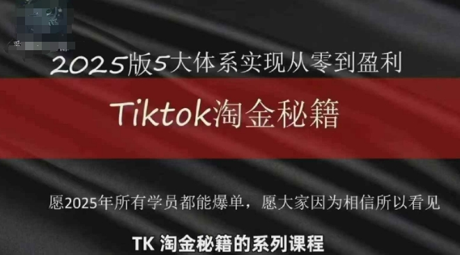 TikTok跨境2025淘金秘籍，2025TikTok从0到盈利变现